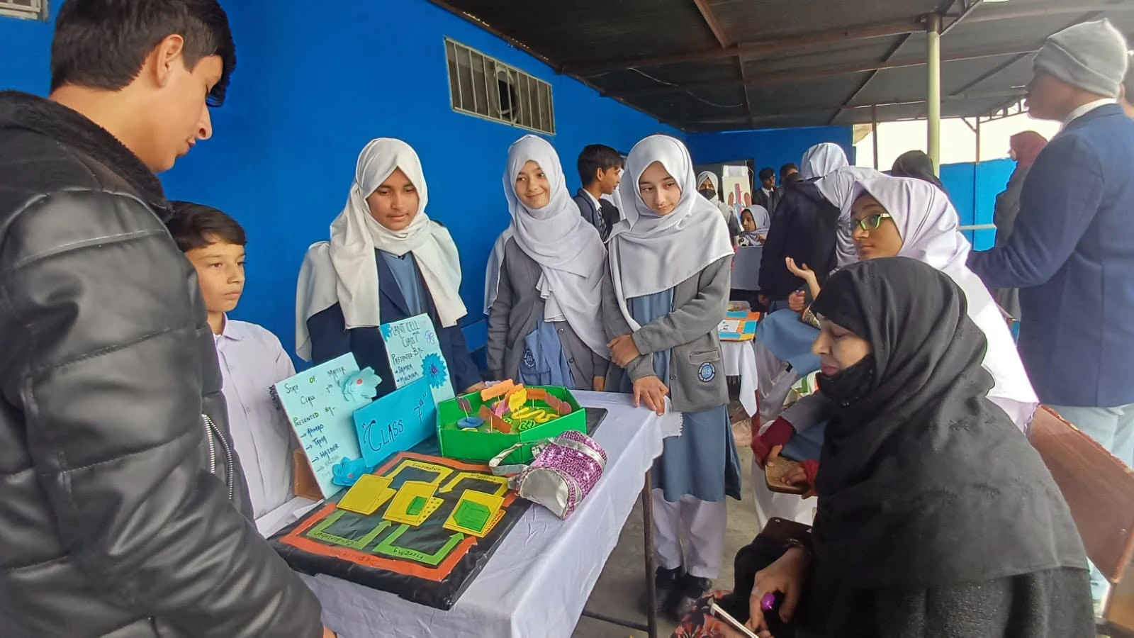 Montessori Activity & Play